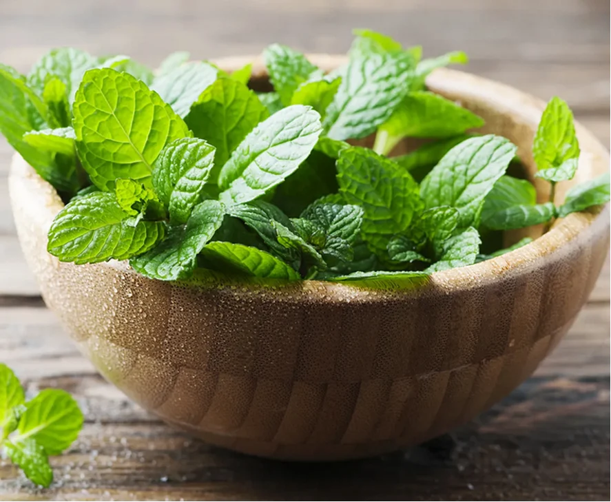 تأثیر مصرف گیاهان دارویی بر کاهش میل جنسی